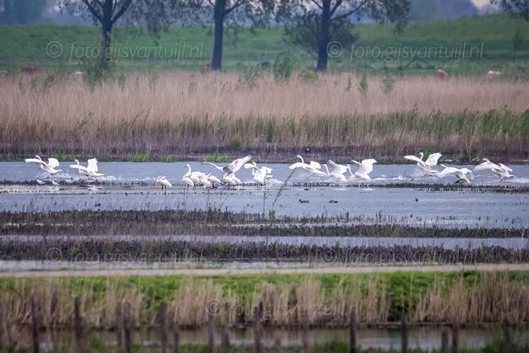 2021_05_11 Munnikenland Brakel